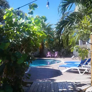 Pauline's Aruba